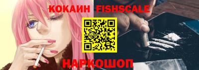 крисы Можга