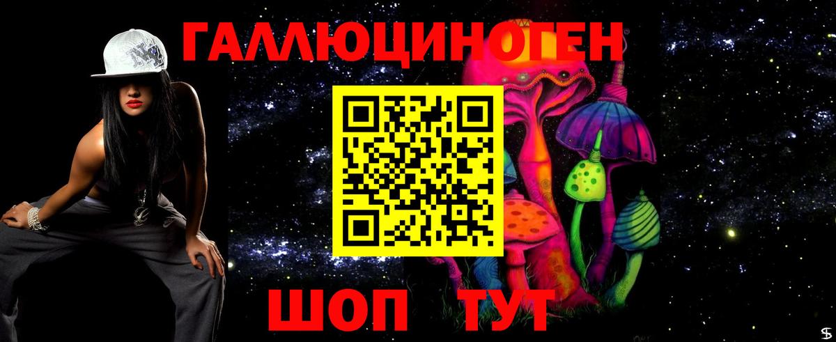 Галлюциногенные грибы Psilocybe Арзамас
